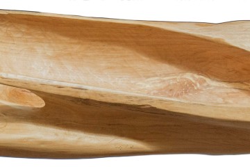 Huid van hout