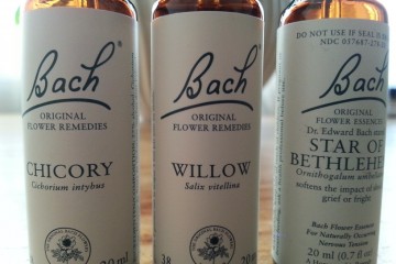 Bach Bloesems Bach Blossoms