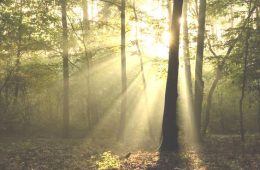 Quantum Light Breath photocredits Pinterest / Vink Academy