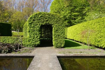 Wandelen in Amsterdam