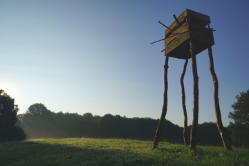 Amsterdamse bos