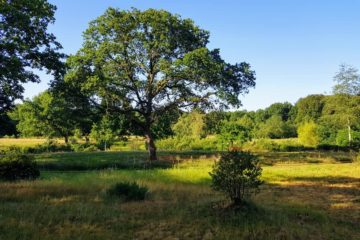 Drenthe