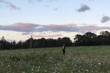 schemerwandeling