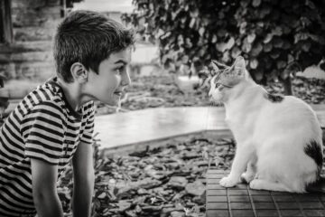 dierencommunicatie