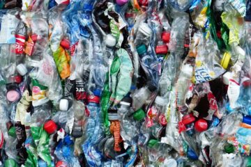 Zero Waste